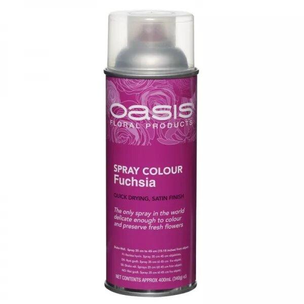 OASIS® S/COLOUR FUCSHIA