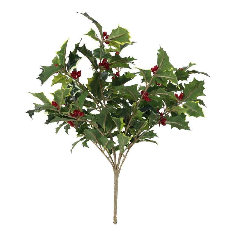 Mixed Green Holly Bush