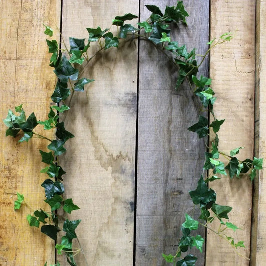 Irish Ivy Garland x 157 leaves (6ft)