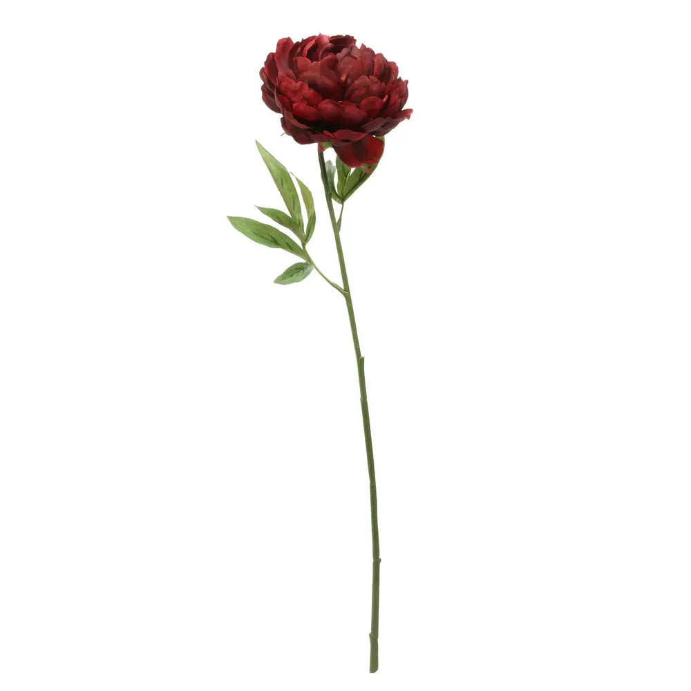 Single Peony Dark Red (62cm)