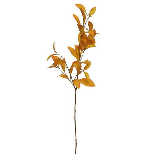 Croton Spray Gold (108cm)