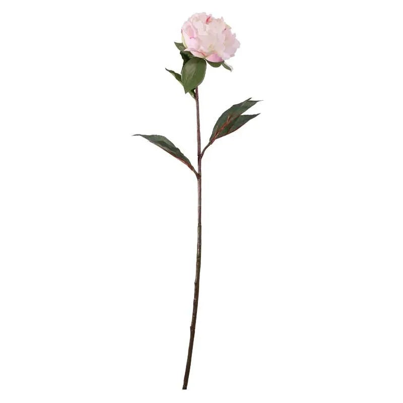 Single Peony Cerise (68cm)