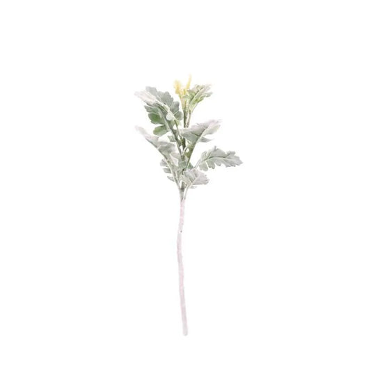 Short Stem Dusty Miller Green (13 inch)