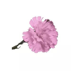 Artificial - Carnation - Pink