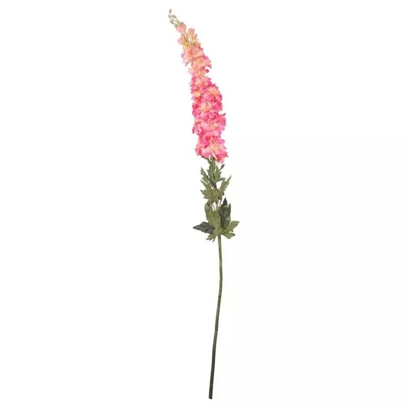 Delphinium Pink 102cm (12/72)