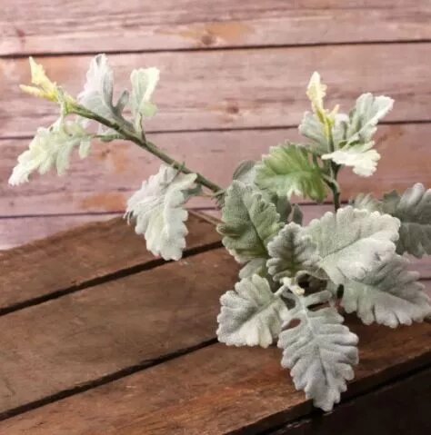 Artificial - Dusty Miller - Grey/Green