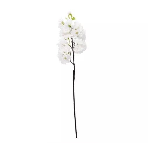 Single Apple Blossom White (12/144)