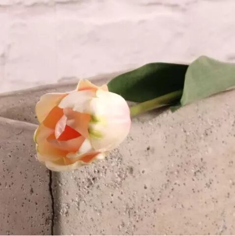 Artificial - Tulip - Champagne