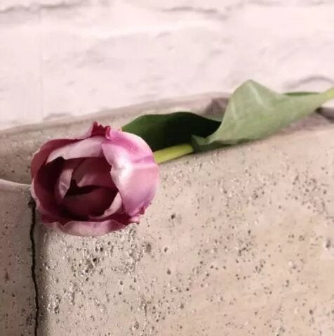 Tulip Purple (24/576)