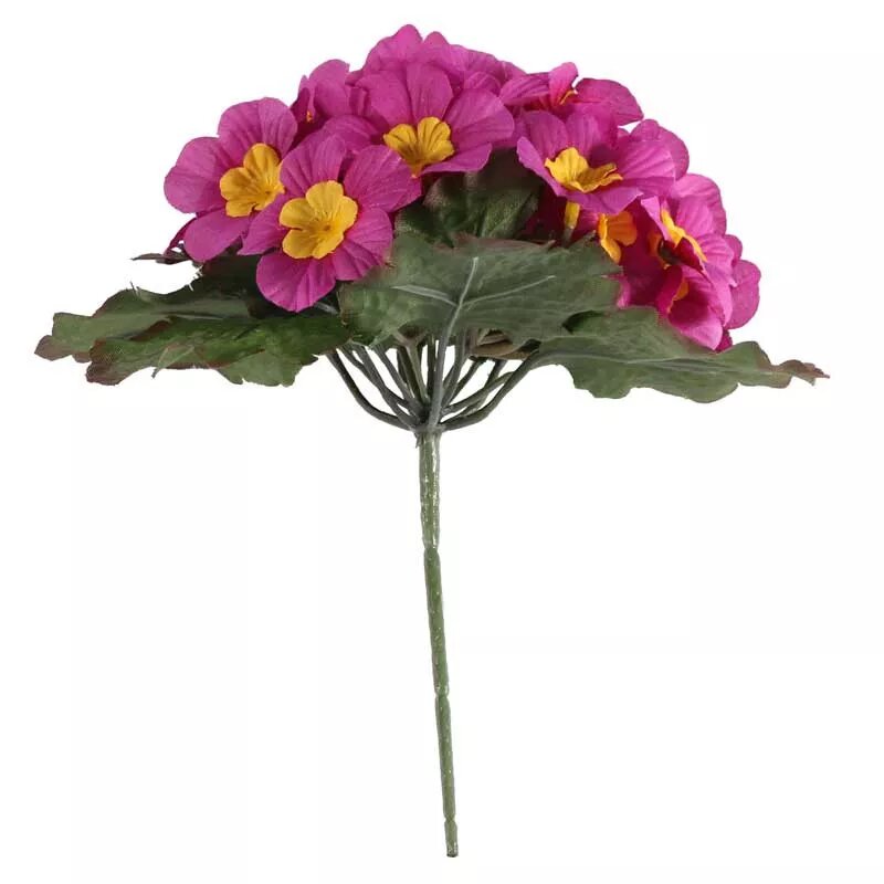 Primula x 25 Flowers Pink (24/432)