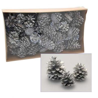 Pine Cones - Silver