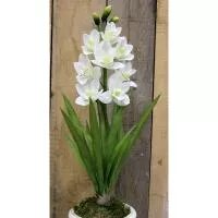 Artificial - Cymbidium Spray - White
