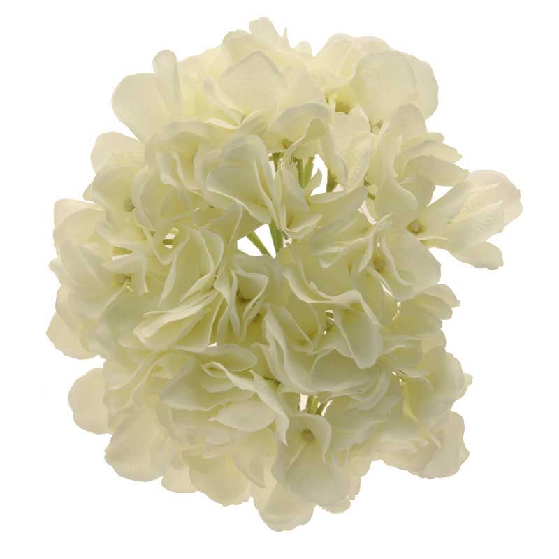 Artificial - Hydrangea - Cream
