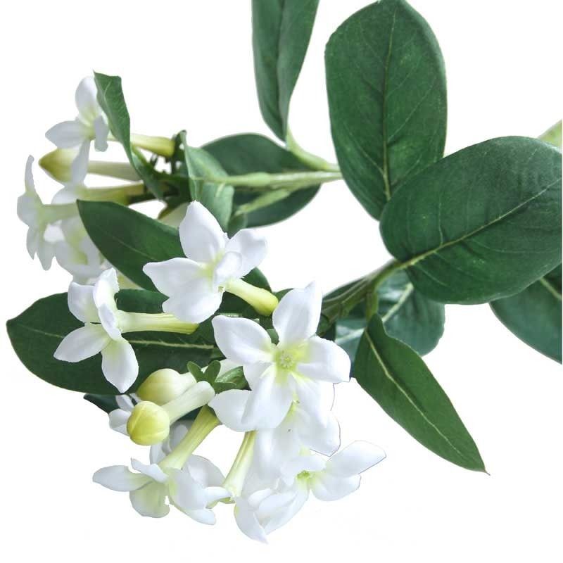 Artificial - Stephanotis - White