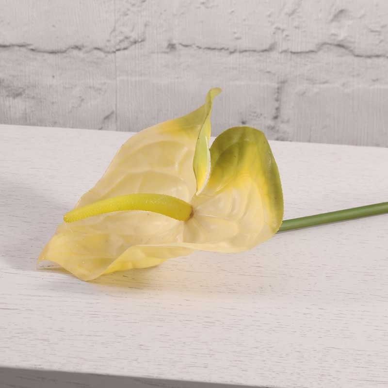 Artificial - Anthurium - White