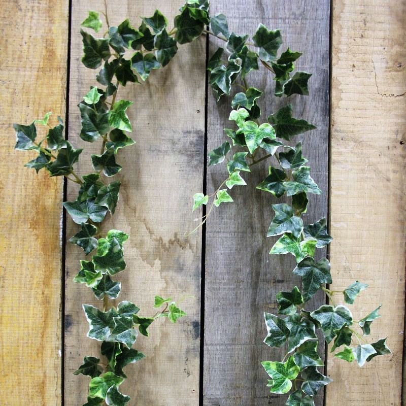 Artificial - Irish Ivy Garland