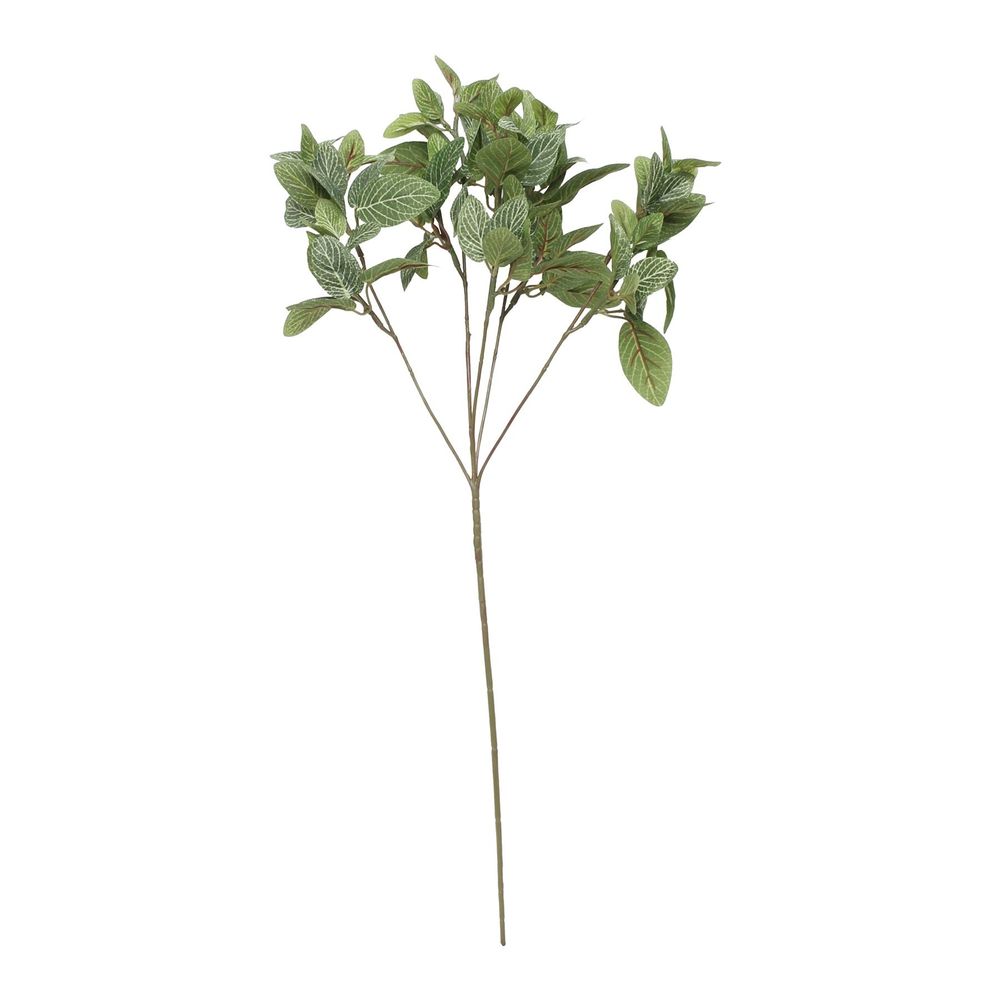 Artificial - Fittonia