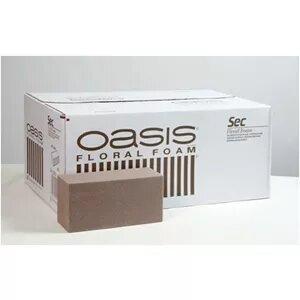 OASISÂ® SEC DRY FOAM BRICK 20