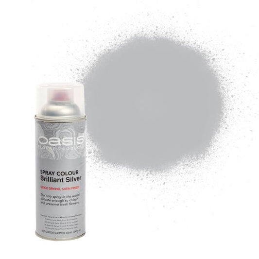 Spray Colours - Brilliant Silver