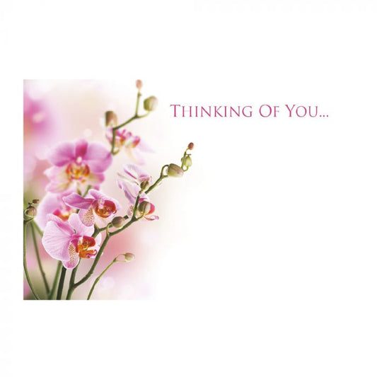 Greeting Card - Thinking of You