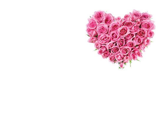 Greeting Card - Pink Rose Heart