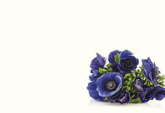 Greeting Card - Blue Anenome