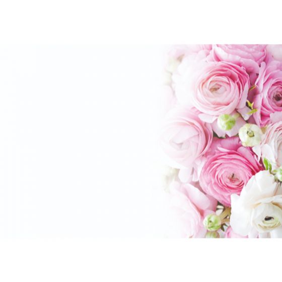 Greeting Card - Pink and White Ranunculus