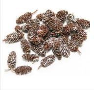 Pine Cones - Birch - White Wash