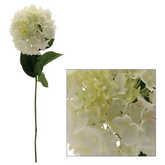 Hydrangea White/Cream 12/96)