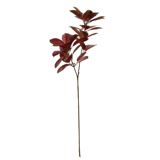 Citrus Leaves Spray Chocolate (75cm)