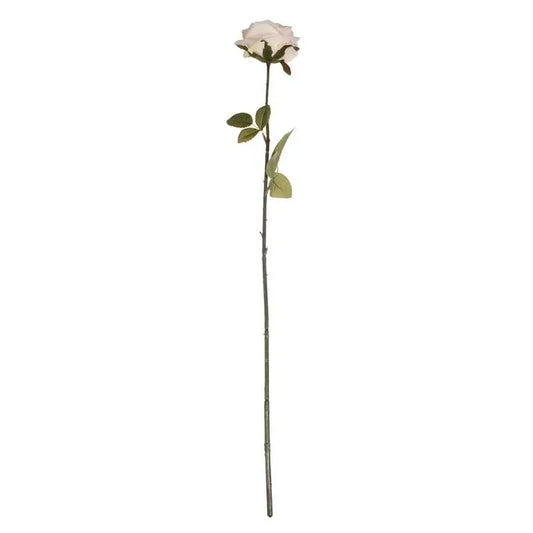 Vintage Rose Cream