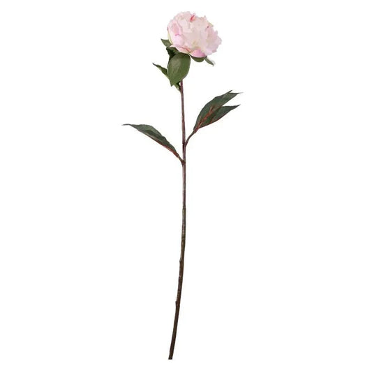 Single Peony Cerise (68cm)