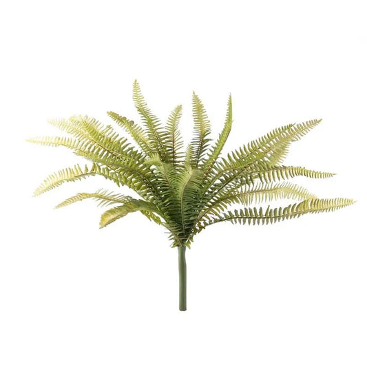 Forest Fern (40cm)
