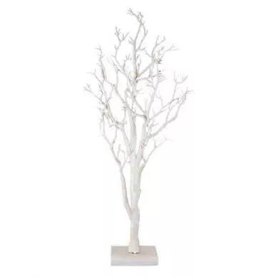 Manzanita Tree - White