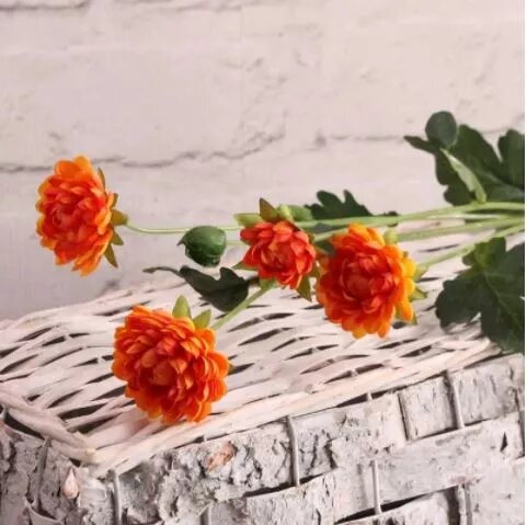 Buckingham Spray Chyrsanthemum Orange (12/384)
