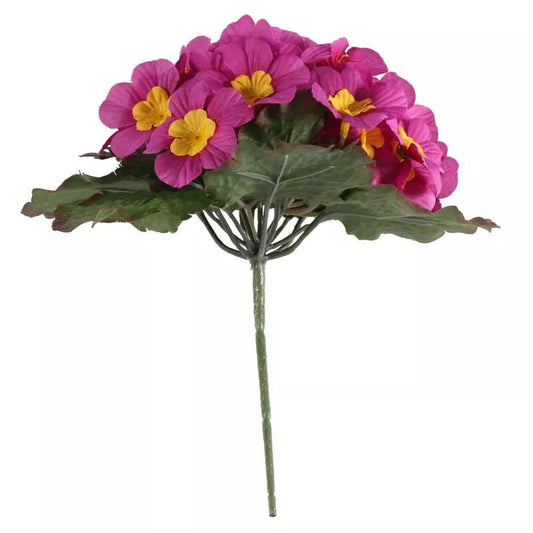 Primula x 25 Flowers Pink (24/432)