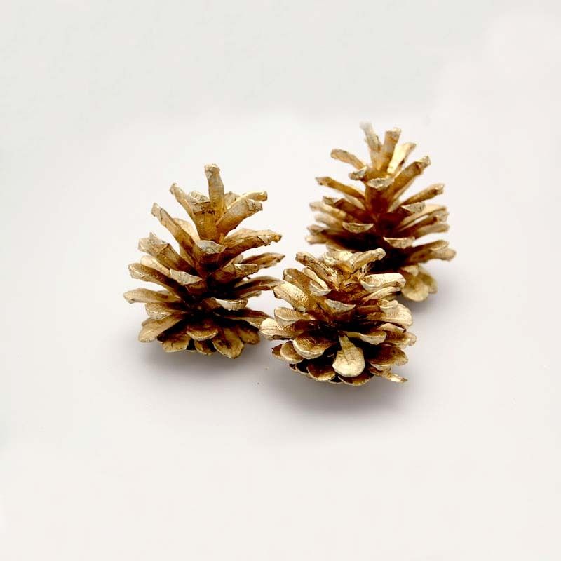 Pine Cones - Gold