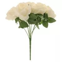 Rose Bush x 9 Cream (12/48)