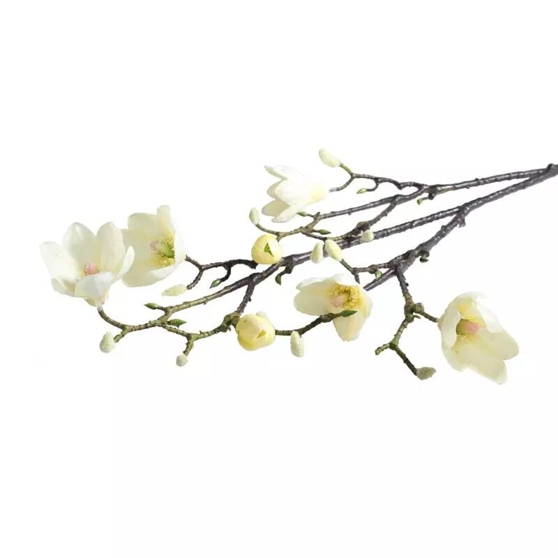 Artificial - Magnolia Branch - Cream