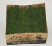 Reindeer Moss - Green