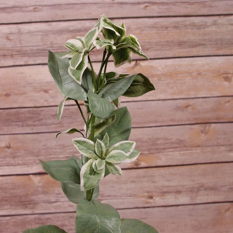 Artificial - Euphorbia