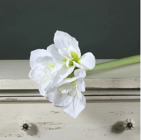 Artificial - Amaryllis - White