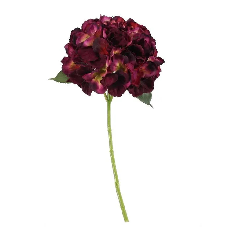 Short Stem Hydrangea Dark Purple