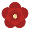 Chamelaucium Chamelaucium