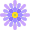 Aster Aster