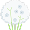 Gypsophila Gypsophila