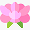 Peony Peony