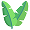 Palm Palm